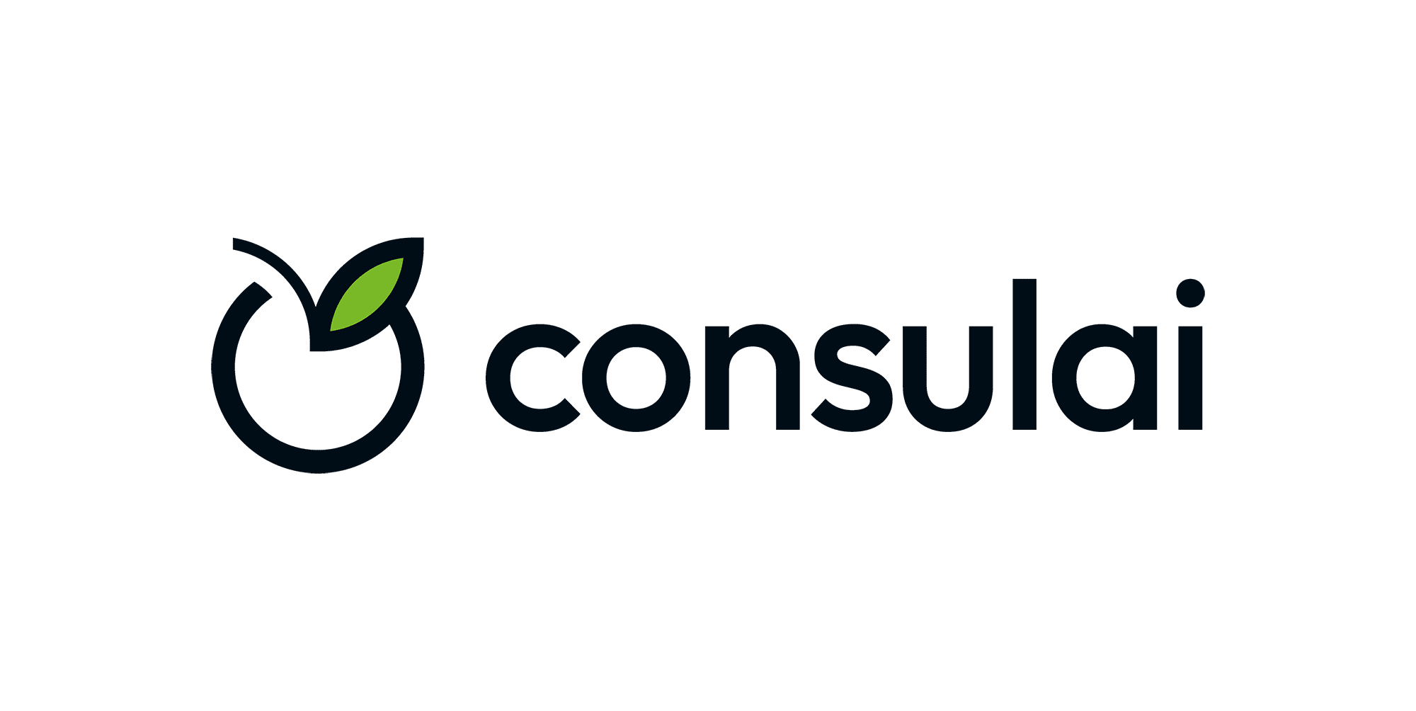 CONSULAI partner logo